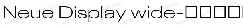 Neue Display wide字体转换